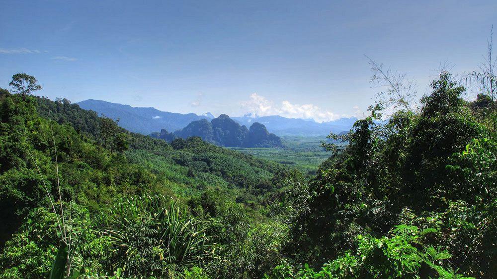 Khao Sok Riverside Cottage Khao Sok National Park Kültér fotó