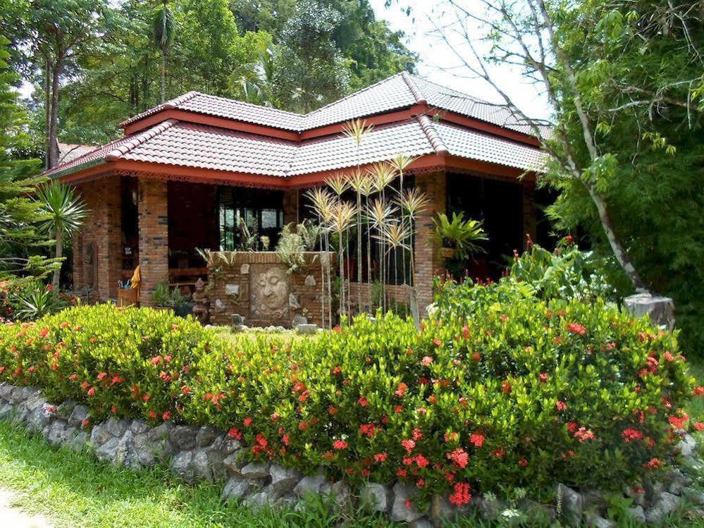 Khao Sok Riverside Cottage Khao Sok National Park Kültér fotó