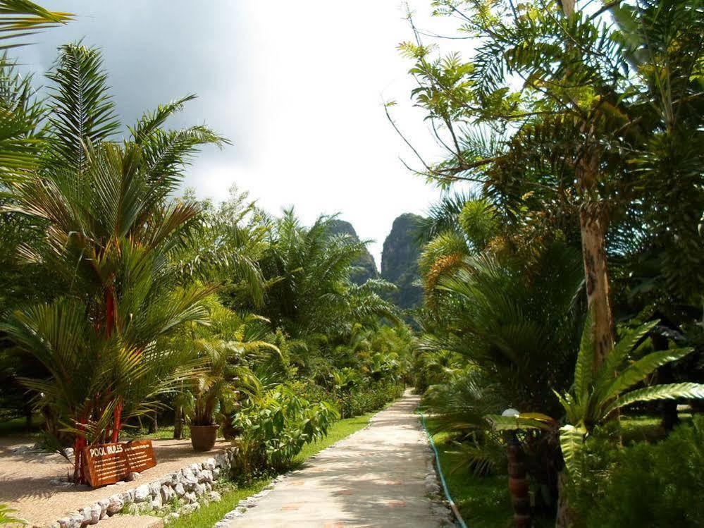 Khao Sok Riverside Cottage Khao Sok National Park Kültér fotó