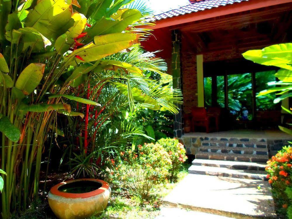 Khao Sok Riverside Cottage Khao Sok National Park Kültér fotó